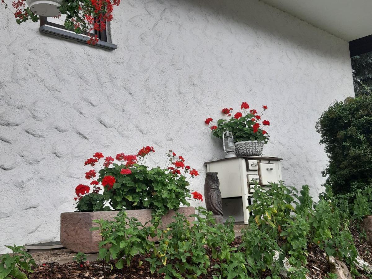 Ferienapartment Karle Nordrach Exterior photo